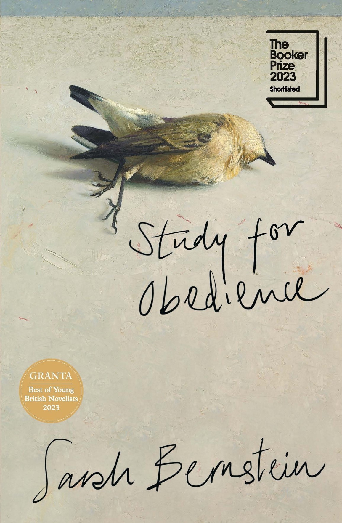 Cover of Study for Obedience by Sarah Bernstein