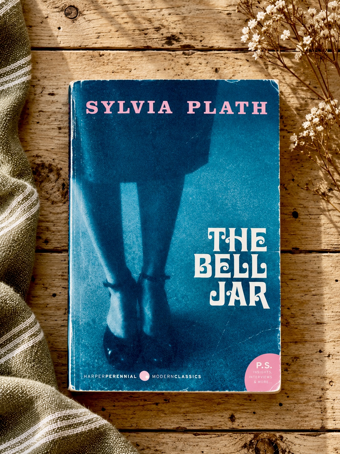 Our November book is The Bell Jar by Sylvia Plath